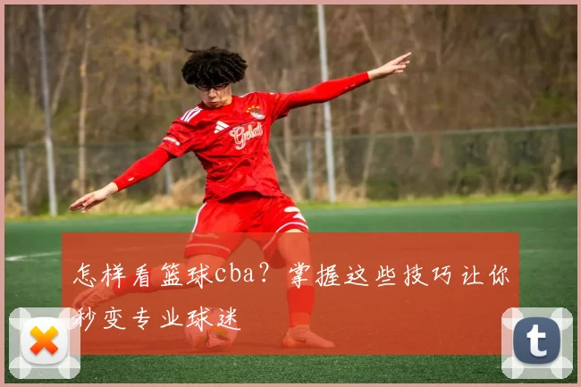 怎样看篮球cba？掌握这些技巧让你秒变专业球迷