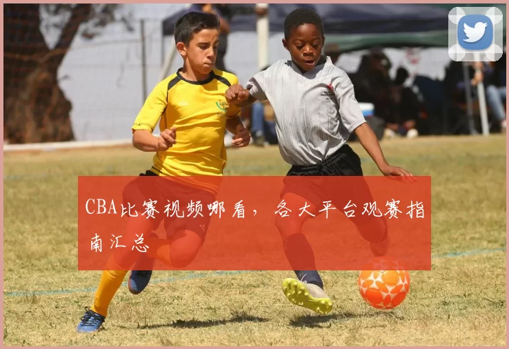 CBA比赛视频哪看，各大平台观赛指南汇总