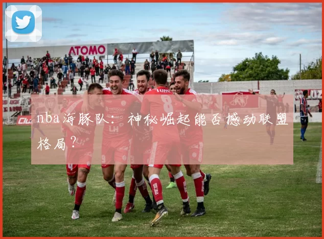 nba海豚队：神秘崛起能否撼动联盟格局？